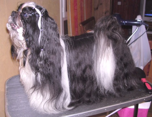 Unkass shaft Le palais de bhagavan