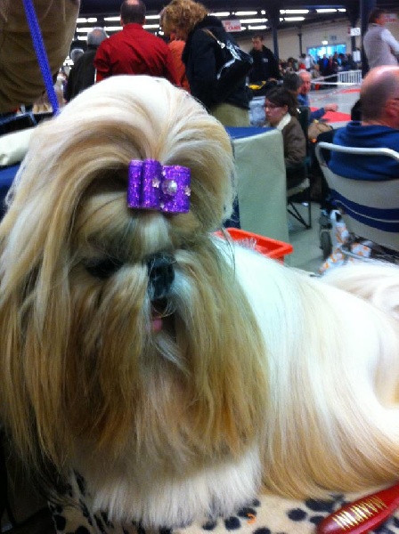 Deci-delà Du domaine de cadolan - 1 ère excellent