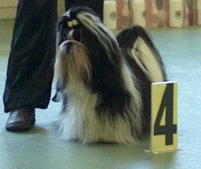 Unkass shaft Le palais de bhagavan - 4 ème excellent