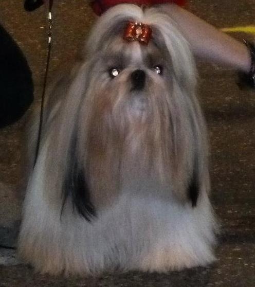 Deci-delà Du domaine de cadolan - RCACS