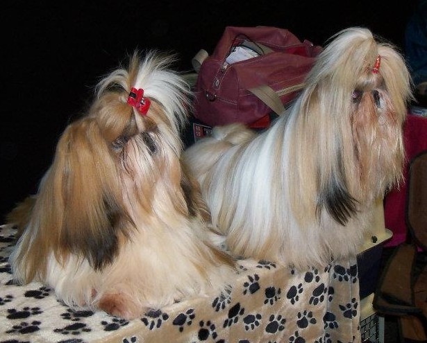 Deci-delà Du domaine de cadolan - Réserve de Cacs, 1ère exc