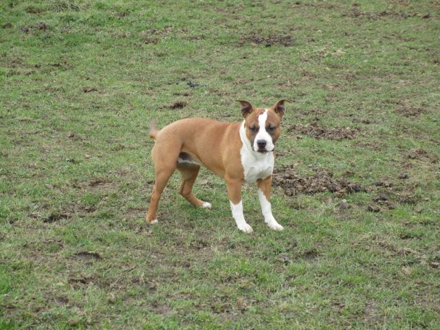 Publication : Lealta's Edition