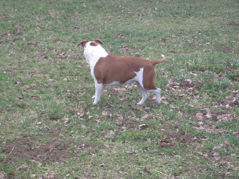 Publication : Lealta's Edition