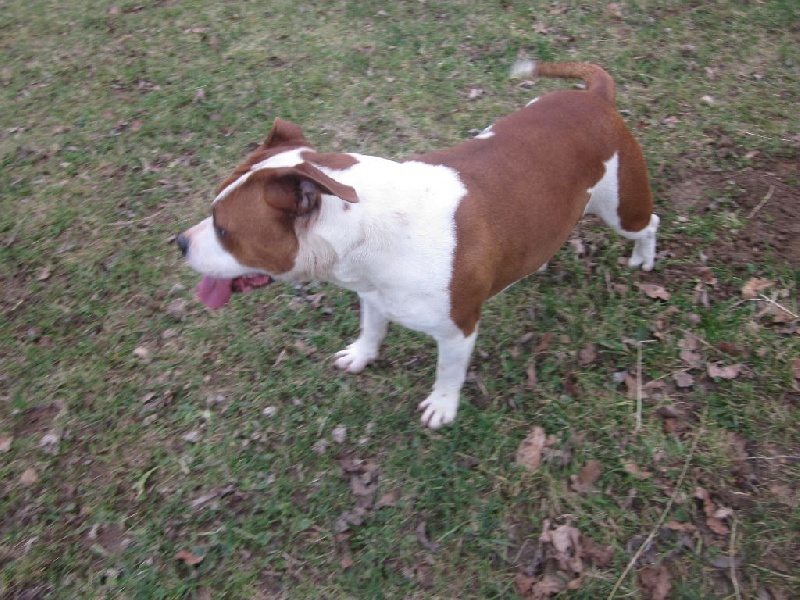 Publication : Lealta's Edition