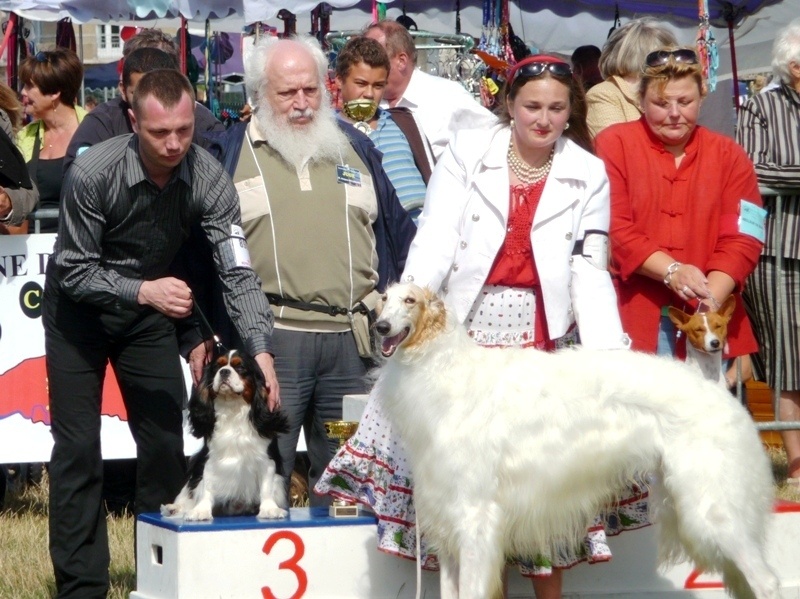 CH. Carham Best in show - 3ème Meilleur Champion de l'Exposition