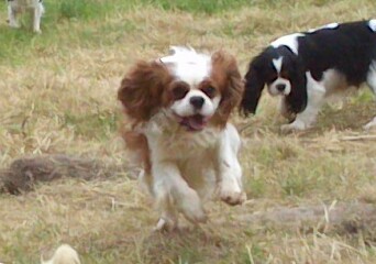 Publication : de kiboun Auteur : KIBOUN