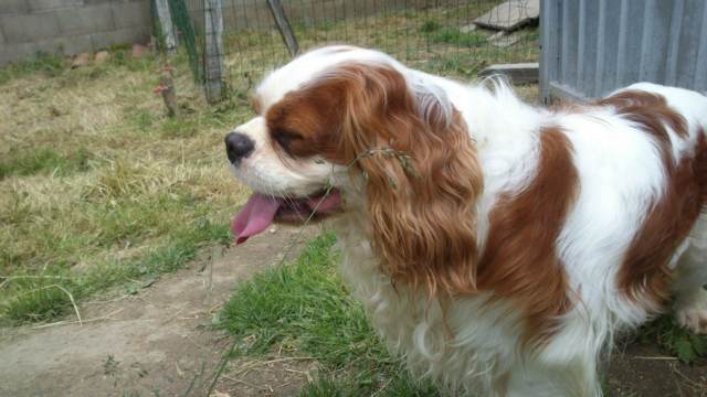 Publication : de kiboun Auteur : KIBOUN