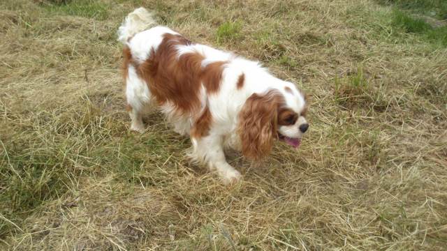 Publication : de kiboun Auteur : KIBOUN