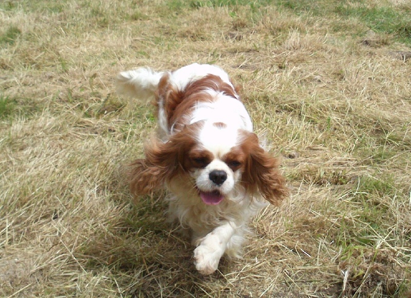 Publication : de kiboun Auteur : KIBOUN