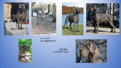 du mont Toise