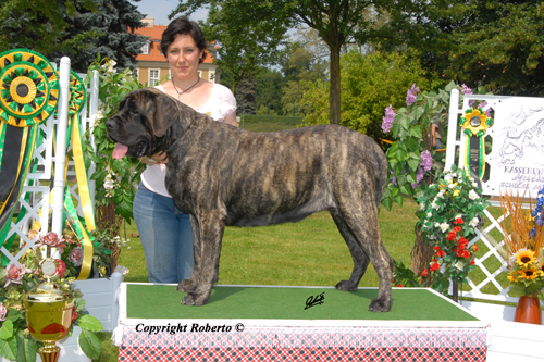 CH. Comtessa von der Villa Graf