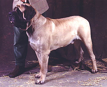 Publication : du Challois