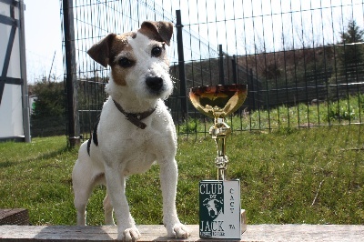 CH. Cosette Des roches du mettey - 150 pts CACT