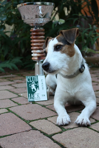 CH. Cosette Des roches du mettey - 150 pts CACT