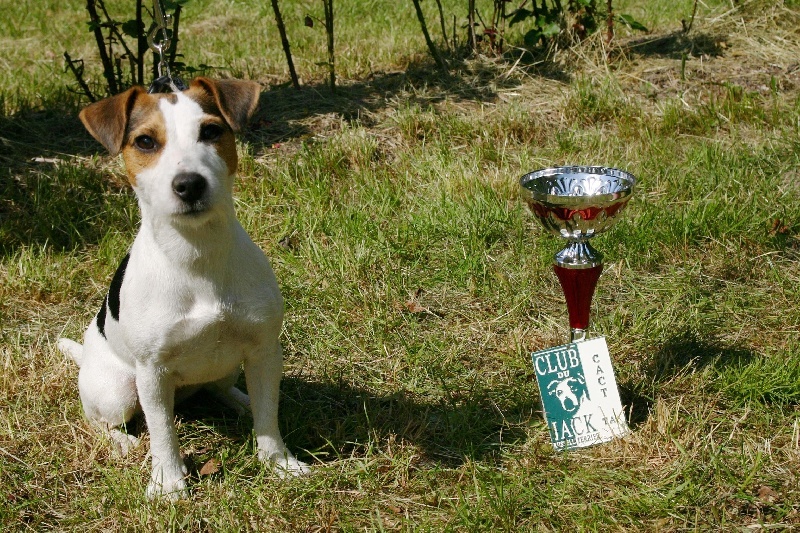 CH. Cosette Des roches du mettey - CACT 150 pts