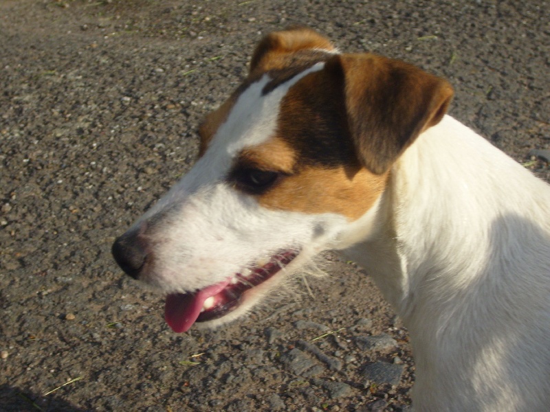 CH. Cosette Des roches du mettey - 130 pts : Excellent