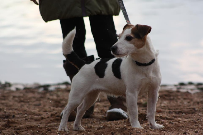 CH. Cosette Des roches du mettey - 120 pts très bon