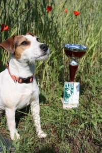 CH. Cosette Des roches du mettey - 150 PTS CACT, meilleur chien de la journée