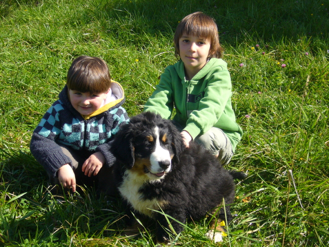 Publication : del Culebre