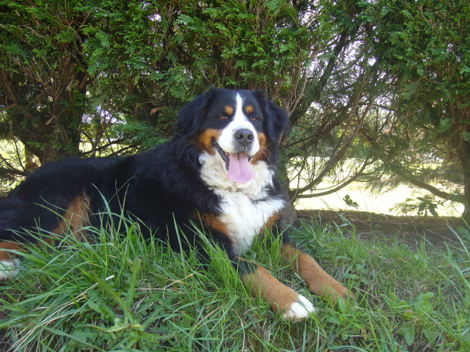 Publication : del Culebre Auteur : Gutierrez Gimeno Leticia