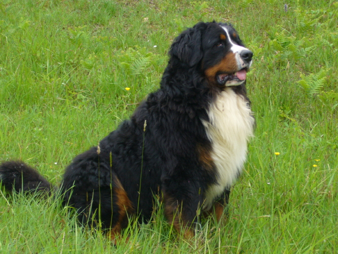 Publication : del Culebre Auteur : Gutierrez Gimeno Leticia