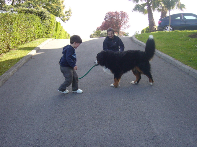 Publication : del Culebre Auteur : Gutierrez Gimeno Leticia