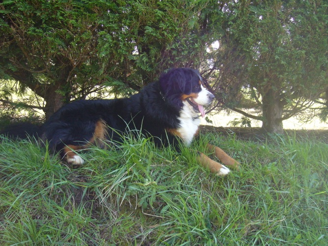 Publication : del Culebre Auteur : Gutierrez Gimeno Leticia