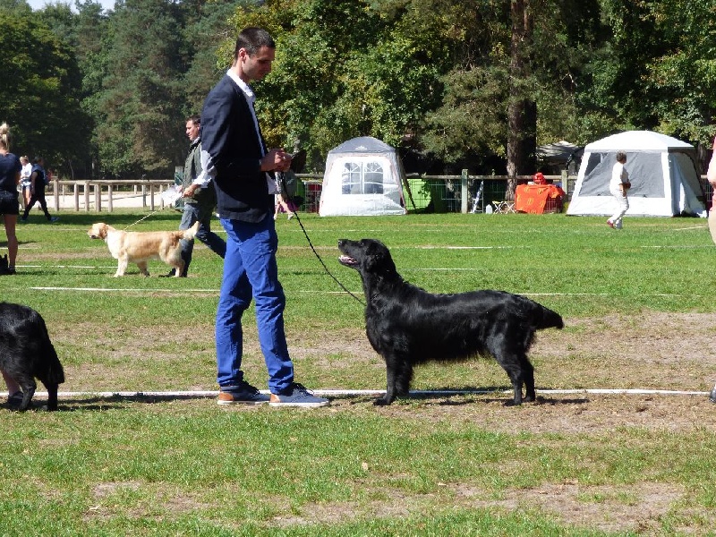 F'eden Du marais de la sangsurière - Exc NC classe ouverte