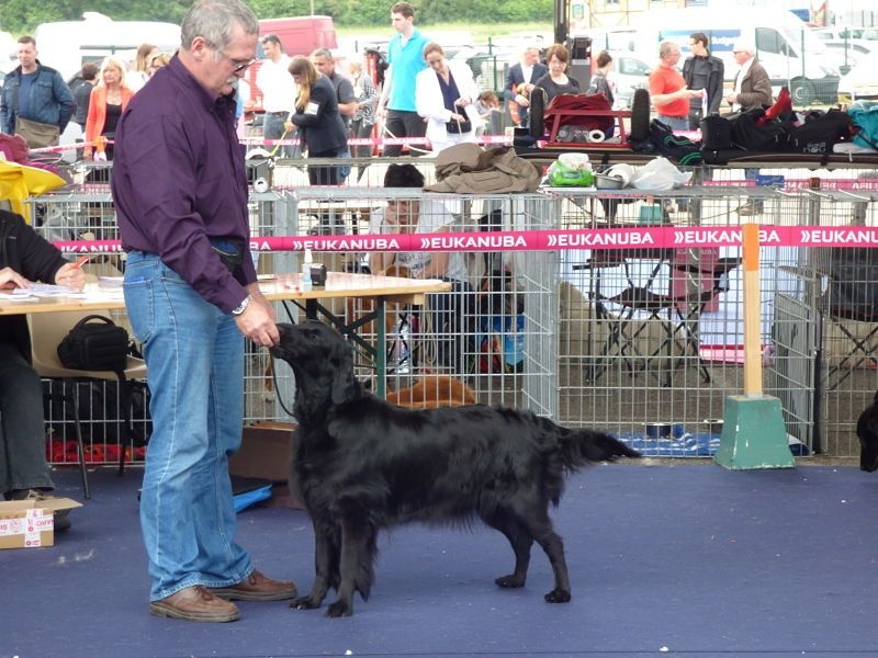F'eden Du marais de la sangsurière - EXC nc classe ouverte