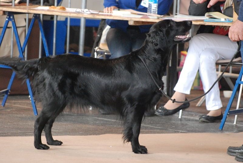 F'eden Du marais de la sangsurière - 2em EXC classe ouverte