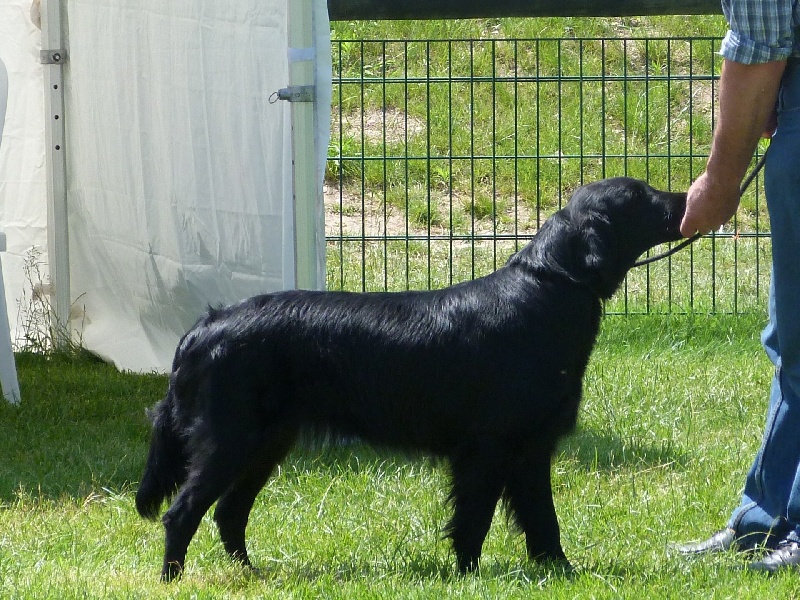 F'eden Du marais de la sangsurière - 3em EXC classe intermediaire