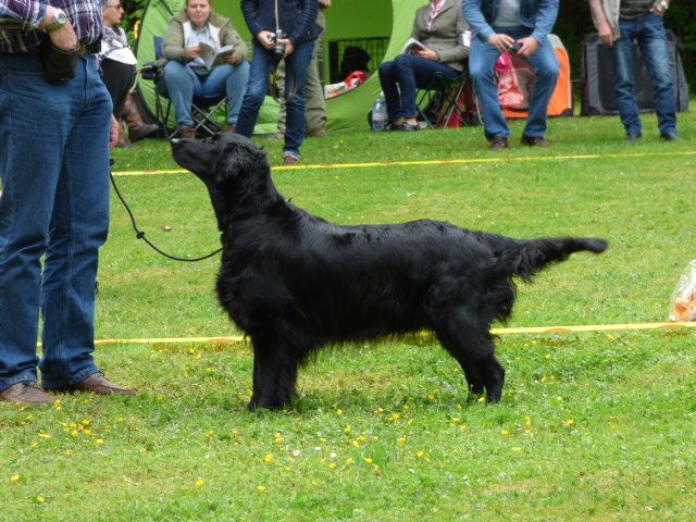 F'eden Du marais de la sangsurière - 3 éme EXC classe ouverte