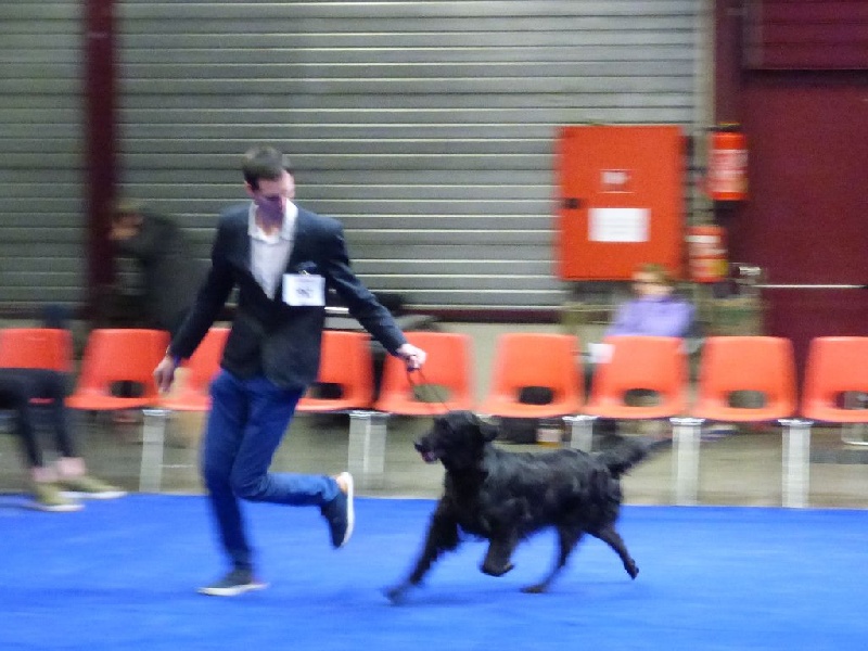 F'eden Du marais de la sangsurière - 2em Exc classe ouverte