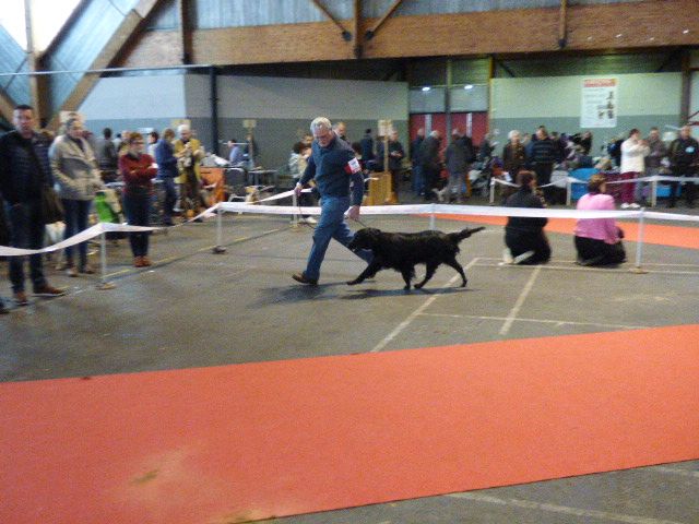 F'eden Du marais de la sangsurière - 1ére Exc classe ouverte