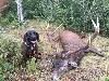 - Gus en retrouve un autre ...