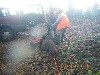 - Recherche à Auriac Lagast .