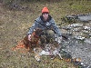 - Hier , deux recherches chez moi , des brebis de mouflon ...