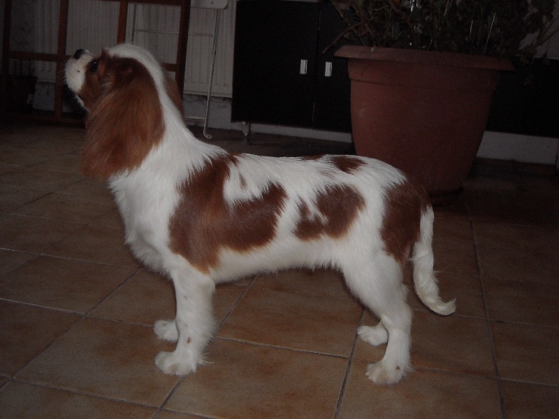 First de l'Aubellerie