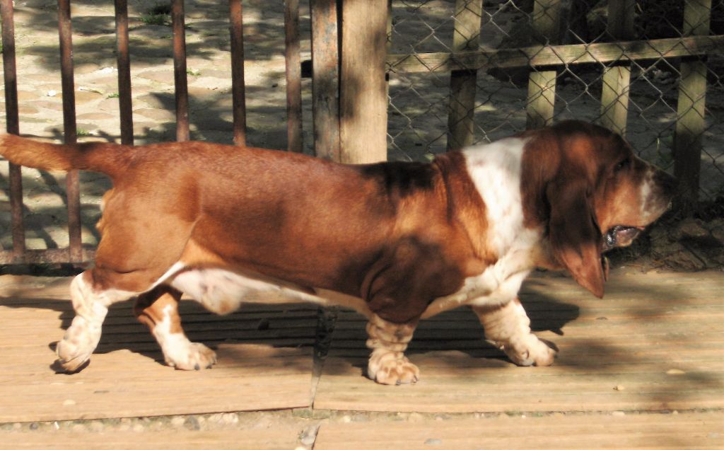 Publication : du clos des héllébores Auteur : vallez