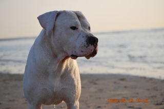 Publication : des Guerriers d'Albatre