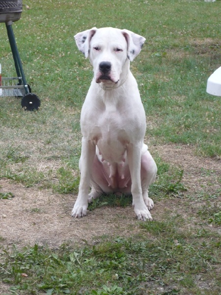 Publication : des Guerriers d'Albatre