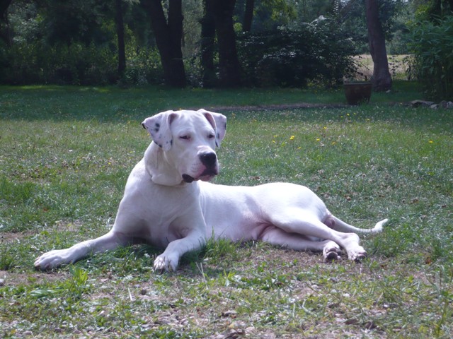 Publication : des Guerriers d'Albatre