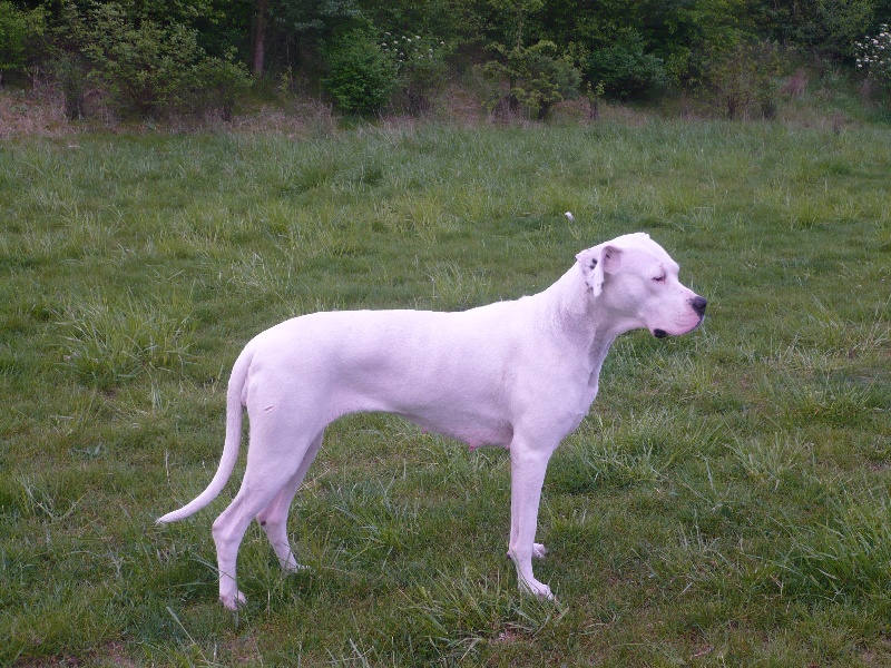 Publication : des Guerriers d'Albatre