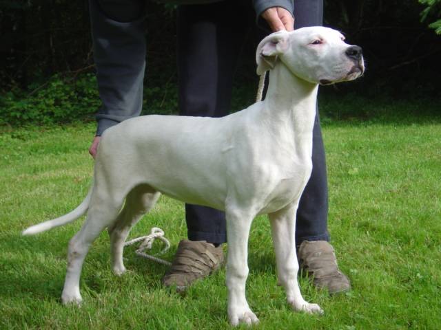 Publication : des Guerriers d'Albatre