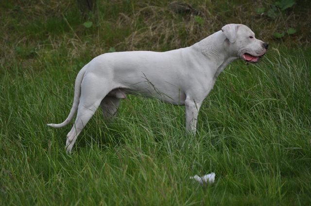 Publication : des Guerriers d'Albatre