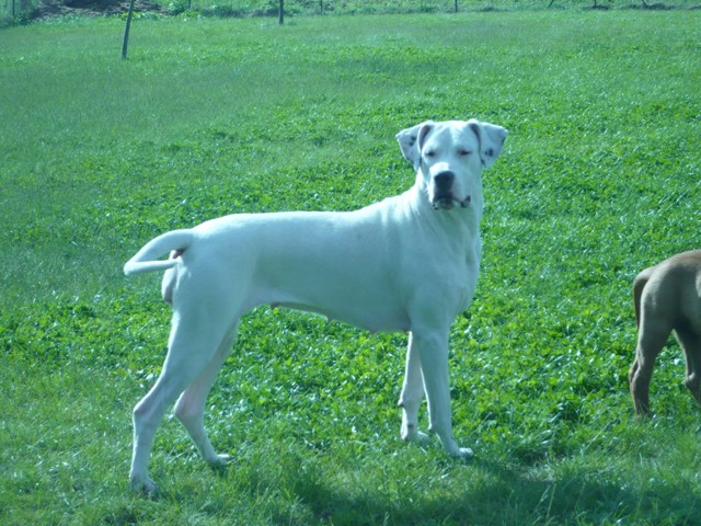 Publication : des Guerriers d'Albatre