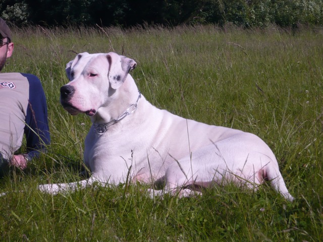 Publication : des Guerriers d'Albatre