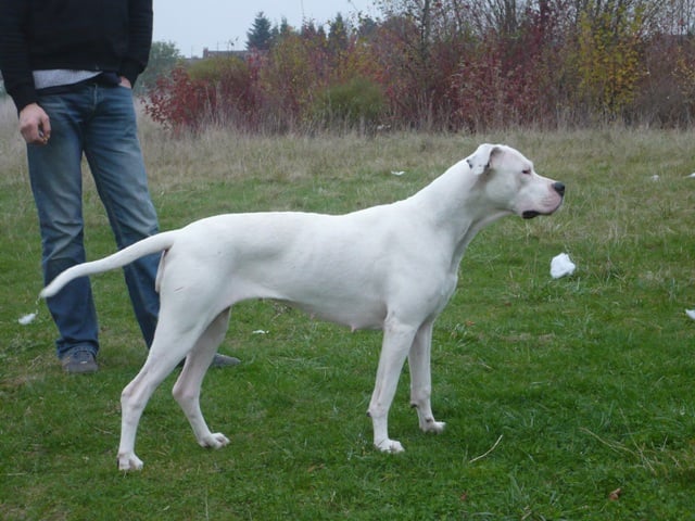 Publication : des Guerriers d'Albatre