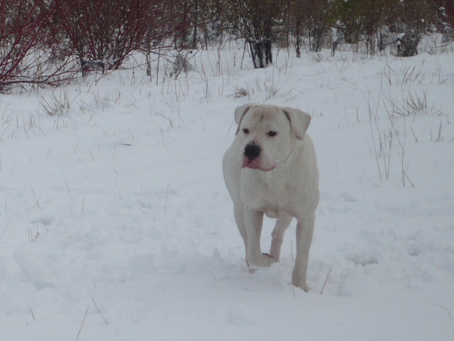 Publication : des Guerriers d'Albatre