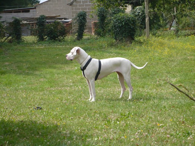 Publication : des Guerriers d'Albatre